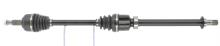 CEVAM 50784