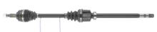 CEVAM 50796