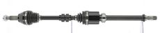 CEVAM 50824