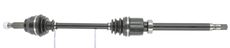 CEVAM 50832