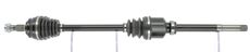 CEVAM 50866