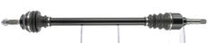 CEVAM 50874