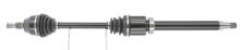 CEVAM 50924
