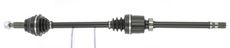 CEVAM 50936