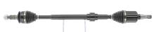 CEVAM 51182