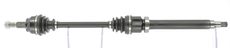 CEVAM 51184