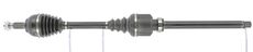 CEVAM 51196