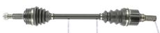 CEVAM 51197