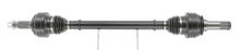 CEVAM 51199