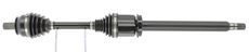 CEVAM 51206