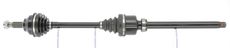 CEVAM 51284