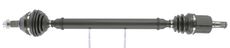 CEVAM 51296