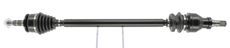 CEVAM 51309