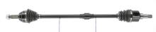 CEVAM 51316