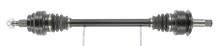 CEVAM 51339