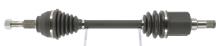 CEVAM 51341