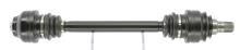 CEVAM 51381