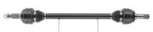 CEVAM 51419
