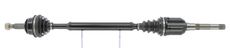 CEVAM 5151