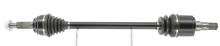 CEVAM 51519