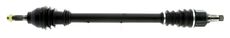CEVAM 5154