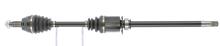 CEVAM 51544