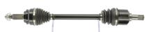 CEVAM 51557