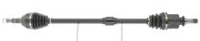 CEVAM 51576