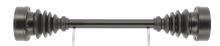 CEVAM 51586