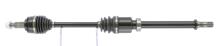CEVAM 51599