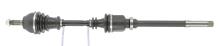 CEVAM 5165