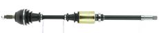CEVAM 5167
