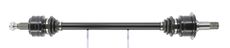 CEVAM 51672