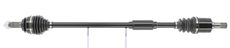 CEVAM 51686