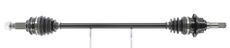 CEVAM 51688