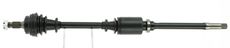CEVAM 5175