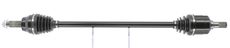 CEVAM 51762