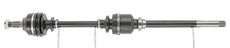 CEVAM 5179