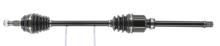 CEVAM 51808
