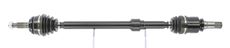 CEVAM 51818