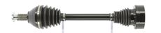 CEVAM 51833