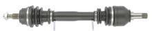 CEVAM 5185
