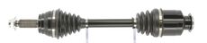 CEVAM 51854