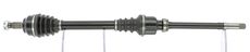 CEVAM 5191