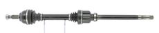CEVAM 5202