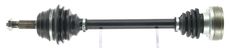 CEVAM 5203