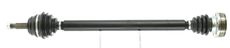CEVAM 5230