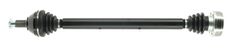 CEVAM 5236