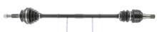 CEVAM 5251