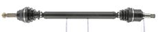 CEVAM 5262